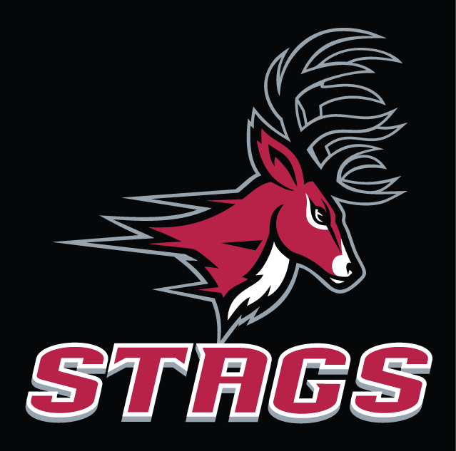 Fairfield Stags 2002-Pres Alternate Logo 01 vinyl decal